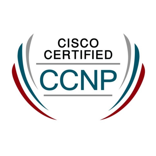 Cisco Certified Network Professional (CCNP)
